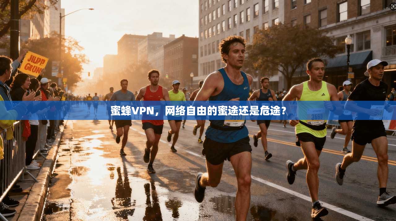 蜜蜂VPN，网络自由的蜜途还是危途？