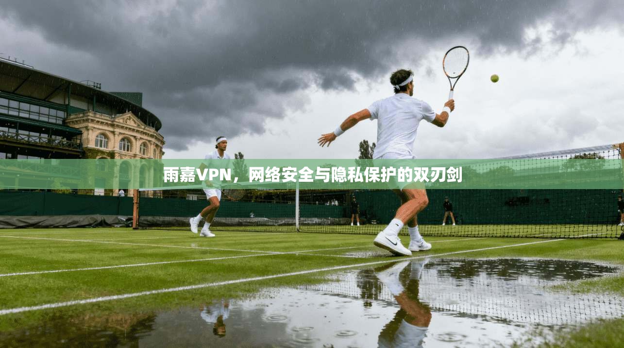 雨嘉VPN，网络安全与隐私保护的双刃剑