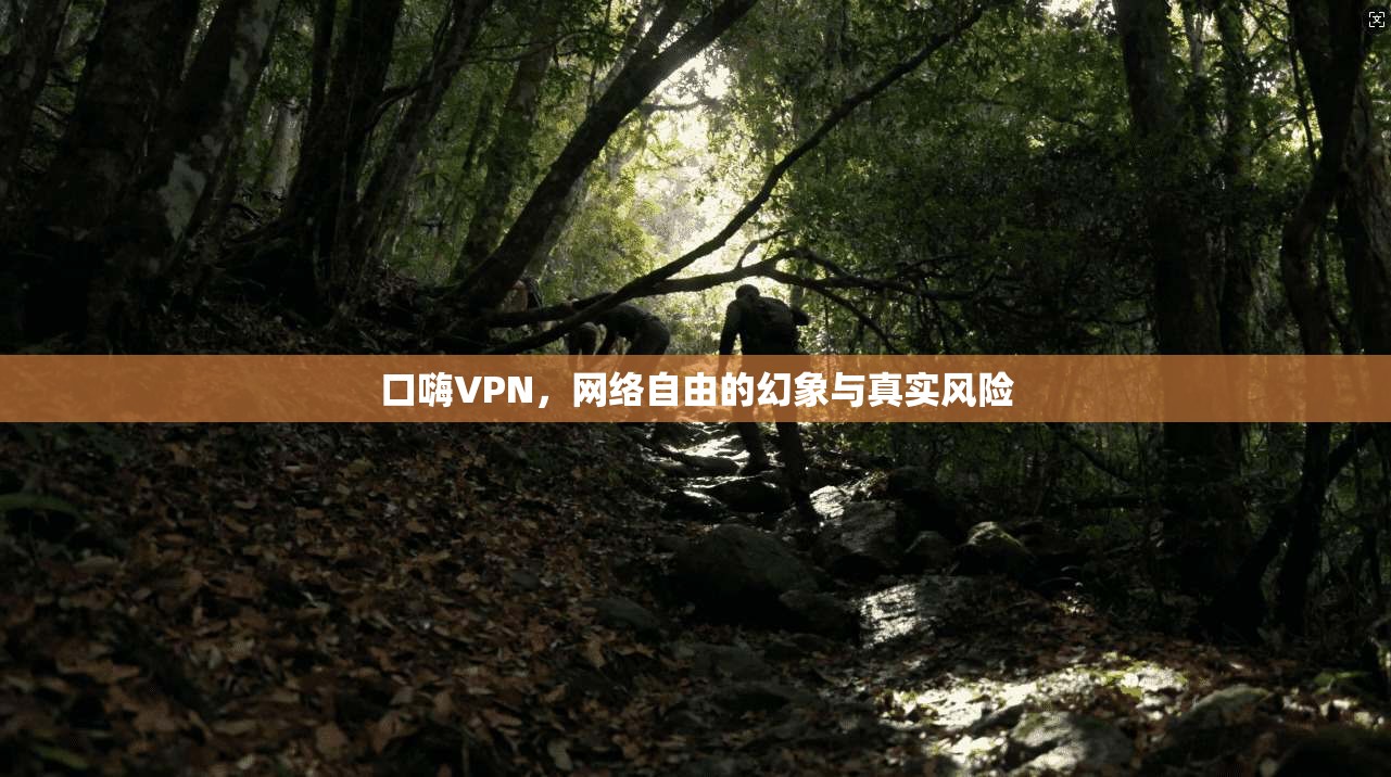 口嗨VPN，网络自由的幻象与真实风险