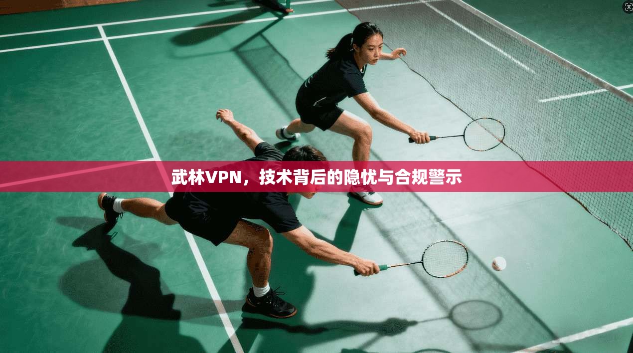 武林VPN，技术背后的隐忧与合规警示