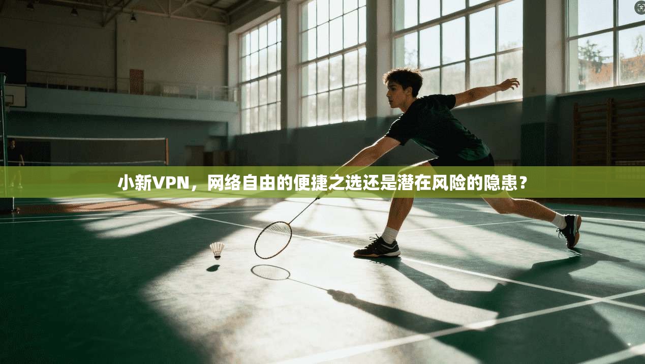 小新VPN，网络自由的便捷之选还是潜在风险的隐患？
