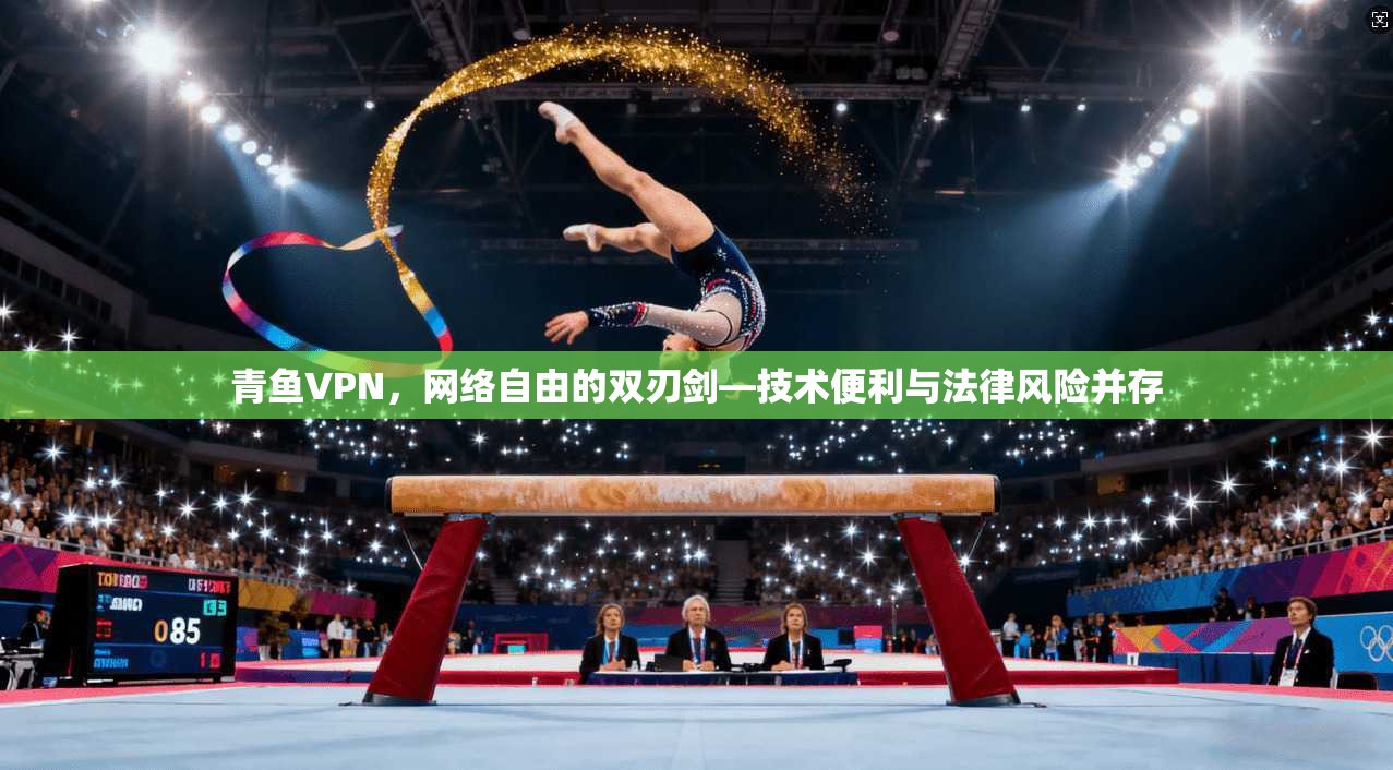 青鱼VPN，网络自由的双刃剑—技术便利与法律风险并存