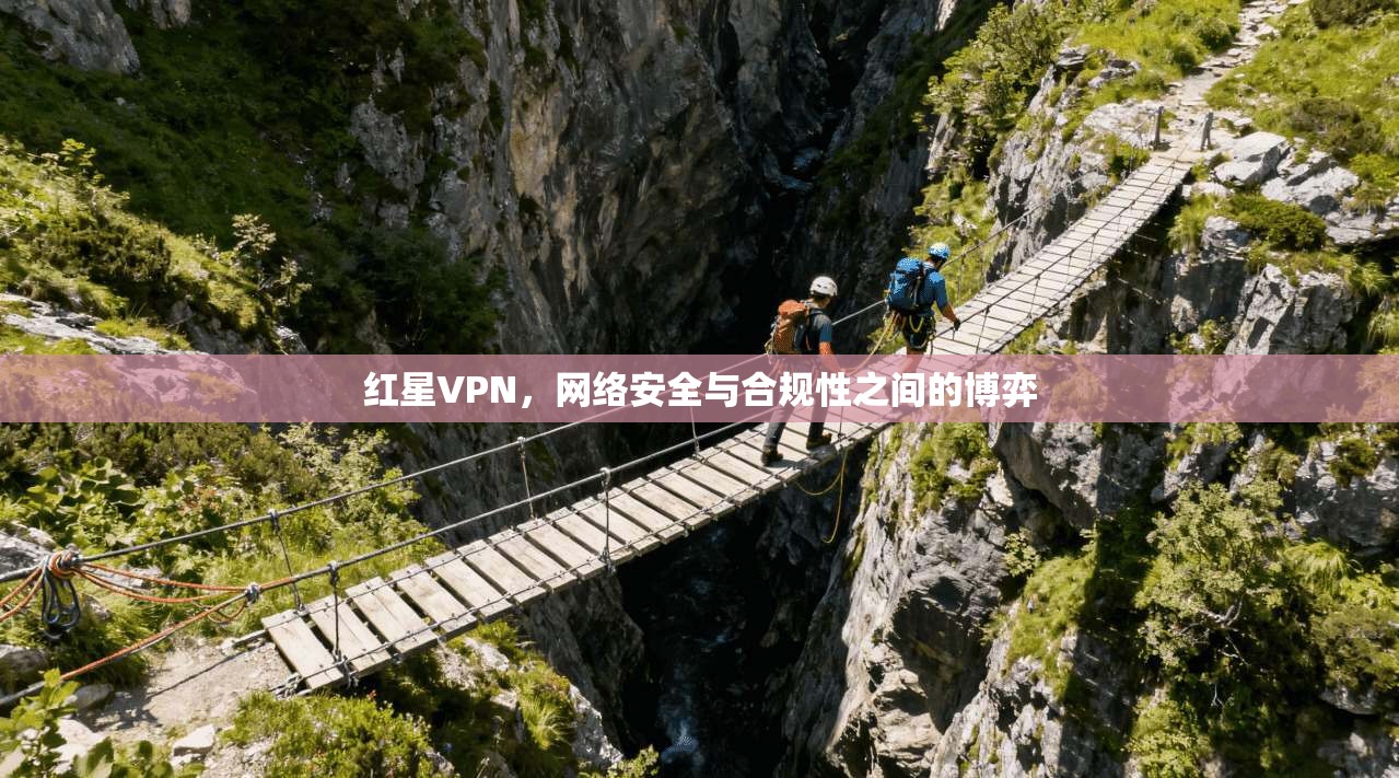 红星VPN，网络安全与合规性之间的博弈