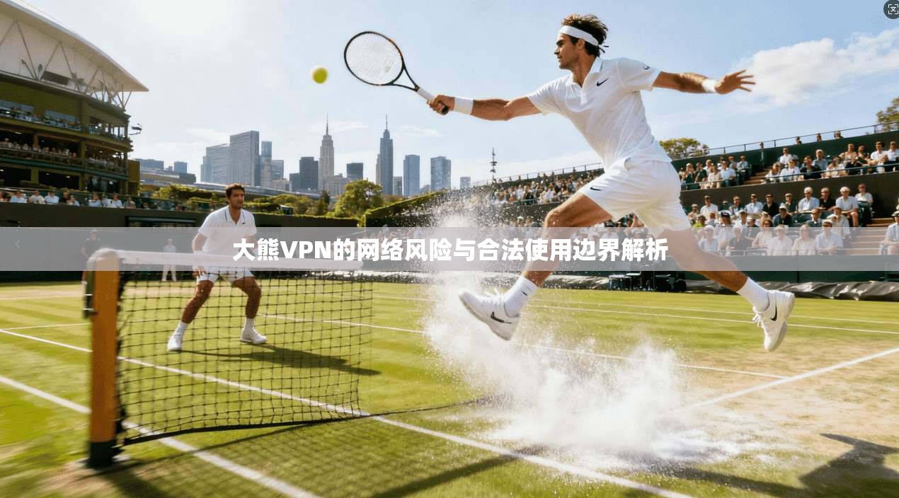 大熊VPN的网络风险与合法使用边界解析