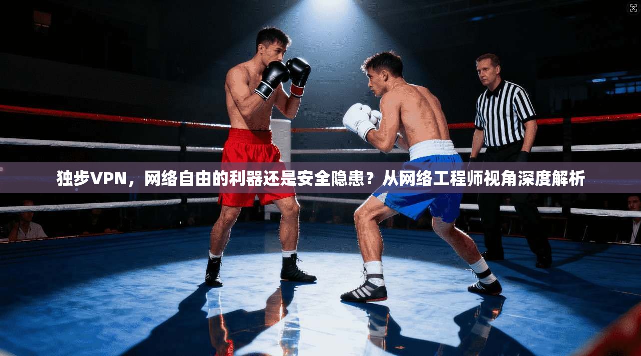 独步VPN，网络自由的利器还是安全隐患？从网络工程师视角深度解析