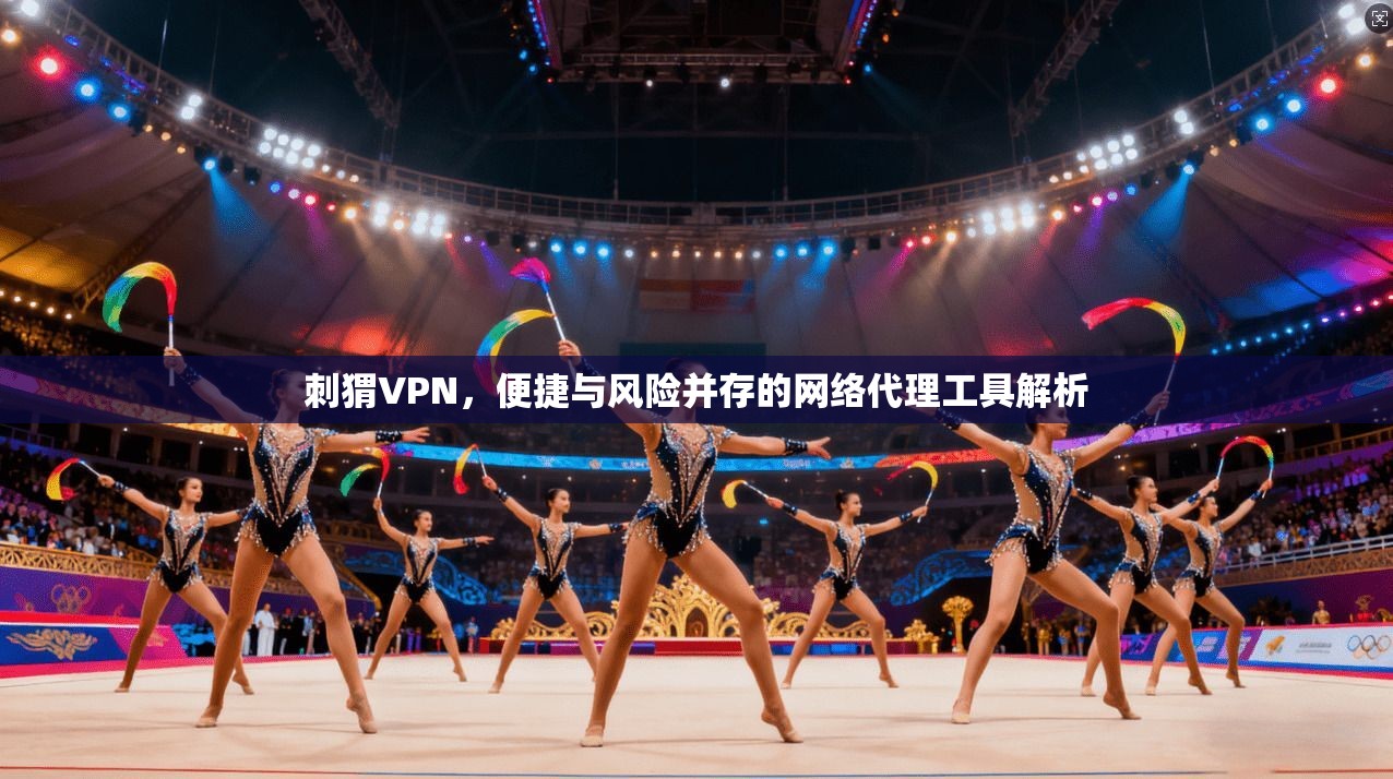 刺猬VPN，便捷与风险并存的网络代理工具解析
