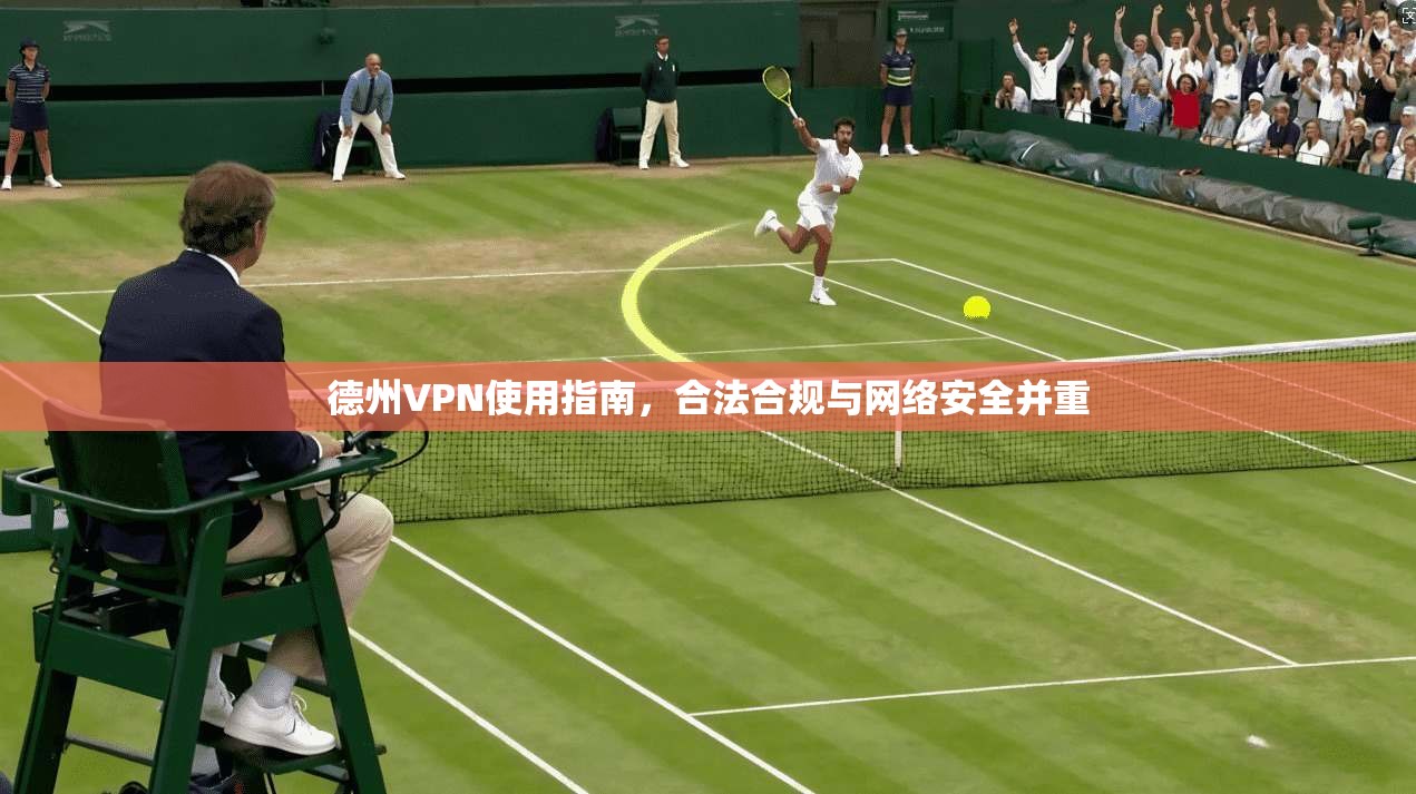 德州VPN使用指南，合法合规与网络安全并重