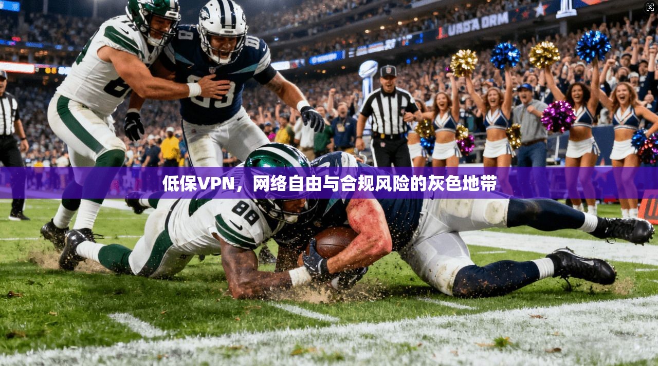 低保VPN，网络自由与合规风险的灰色地带