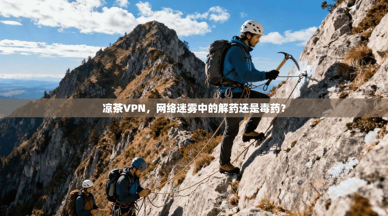 凉茶VPN，网络迷雾中的解药还是毒药？