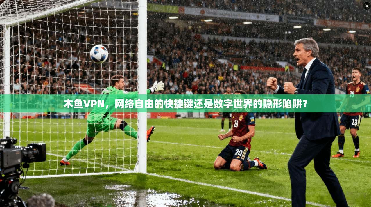 木鱼VPN，网络自由的快捷键还是数字世界的隐形陷阱？