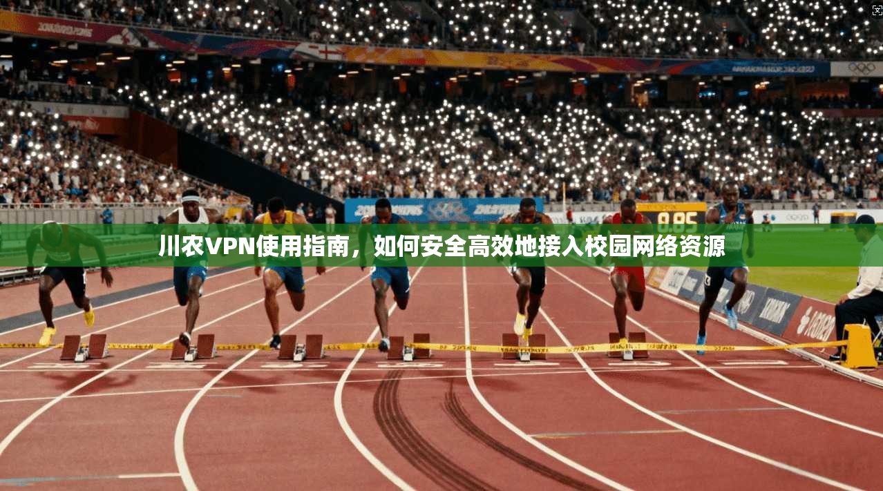 川农VPN使用指南，如何安全高效地接入校园网络资源