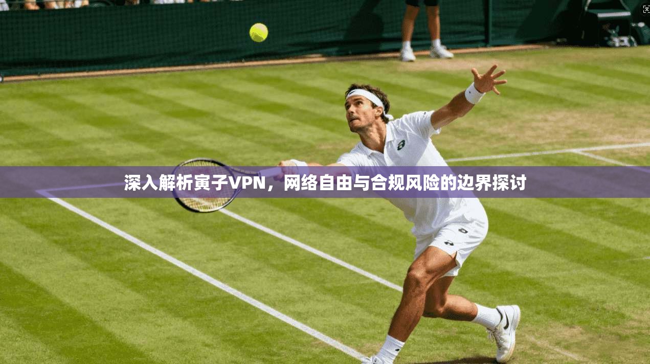 深入解析寅子VPN，网络自由与合规风险的边界探讨