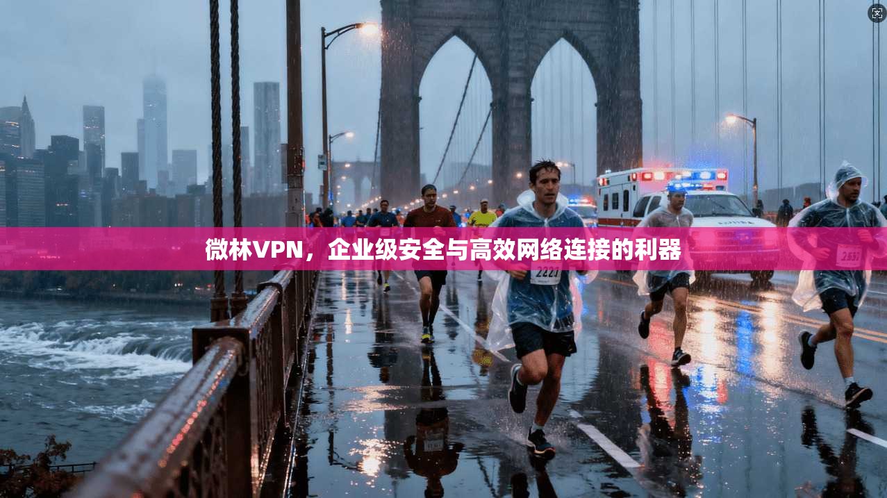 微林VPN，企业级安全与高效网络连接的利器