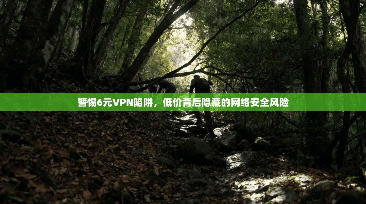 警惕6元VPN陷阱,低价背后隐藏的网络安全风险 警惕6元VPN陷阱,低价背后隐藏的网络安全风险