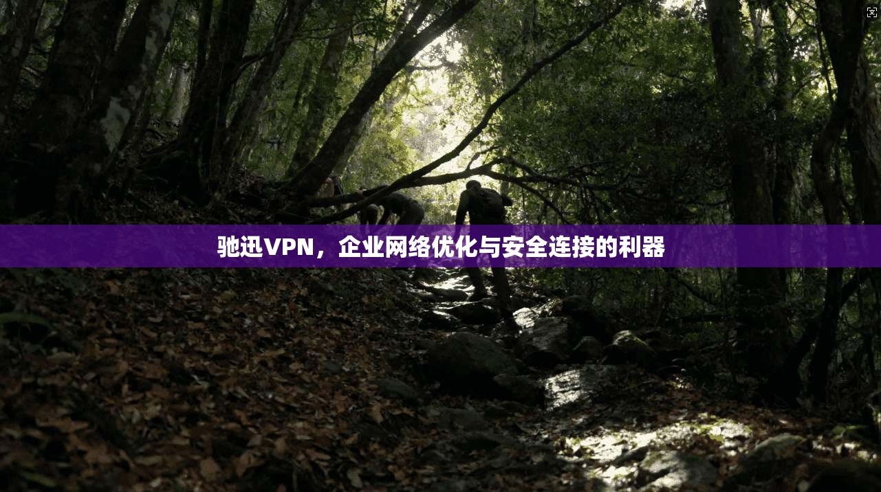 驰迅VPN，企业网络优化与安全连接的利器