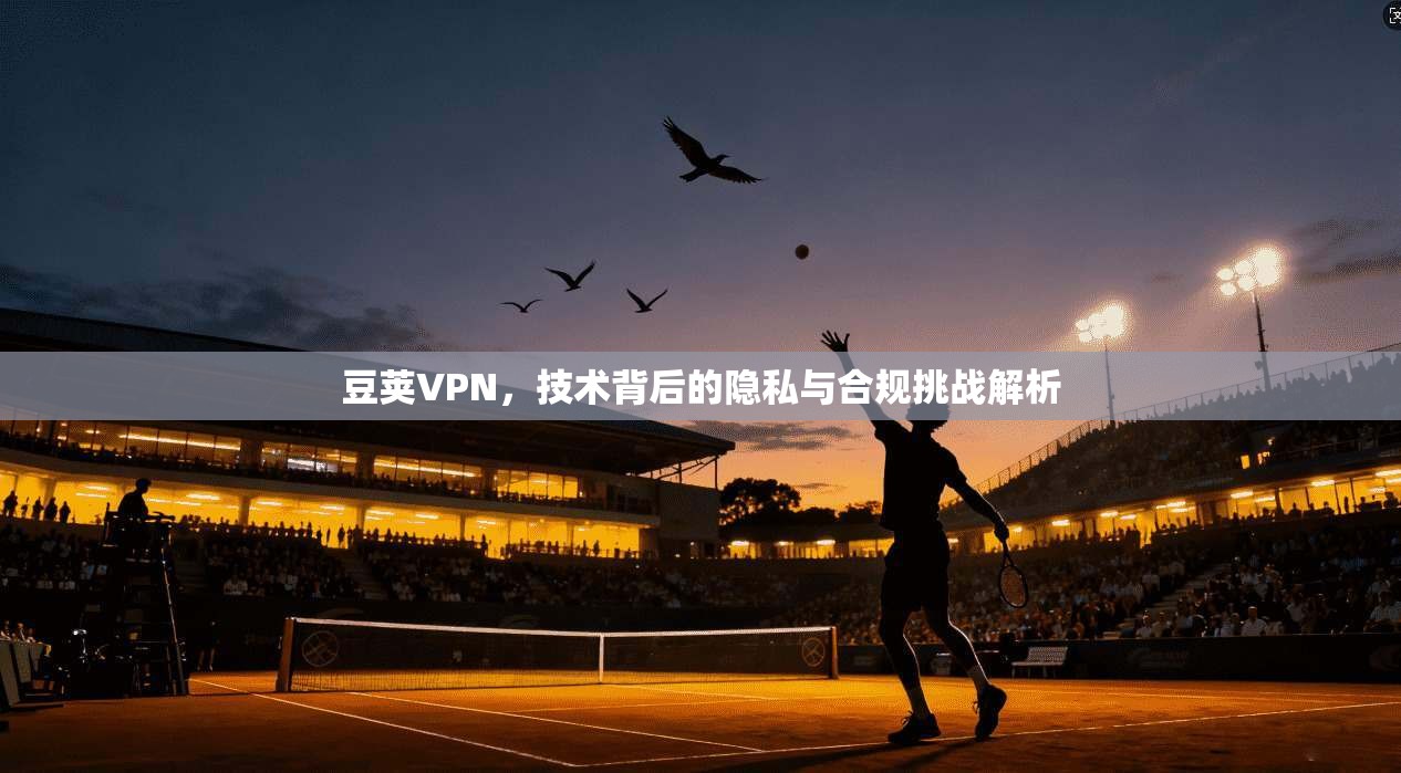 豆荚VPN，技术背后的隐私与合规挑战解析