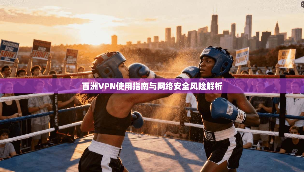 百洲VPN使用指南与网络安全风险解析