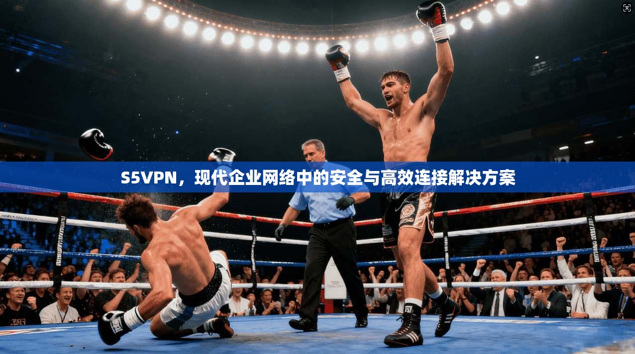 S5VPN，现代企业网络中的安全与高效连接解决方案