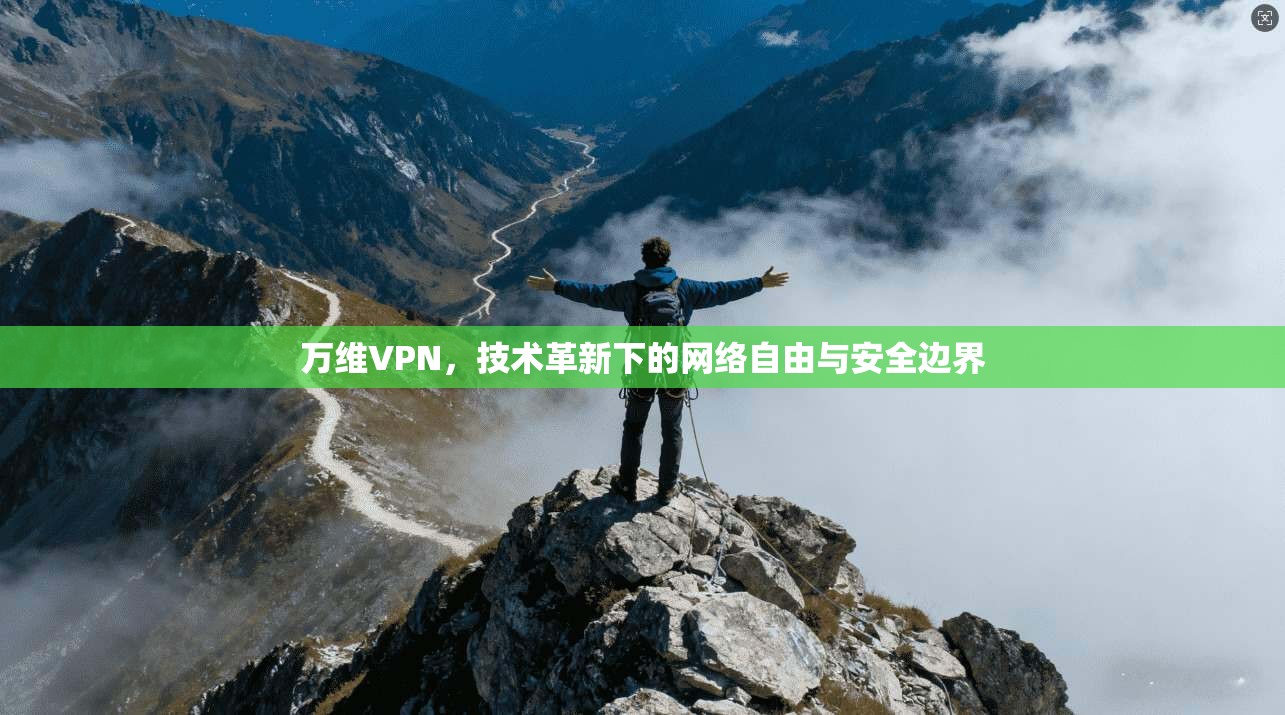 万维VPN，技术革新下的网络自由与安全边界