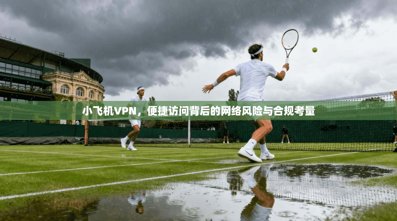 小飞机VPN，便捷访问背后的网络风险与合规考量