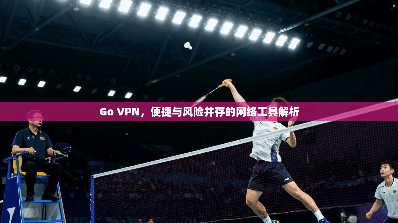 Go VPN，便捷与风险并存的网络工具解析