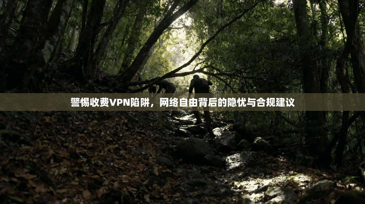 警惕收费VPN陷阱，网络自由背后的隐忧与合规建议