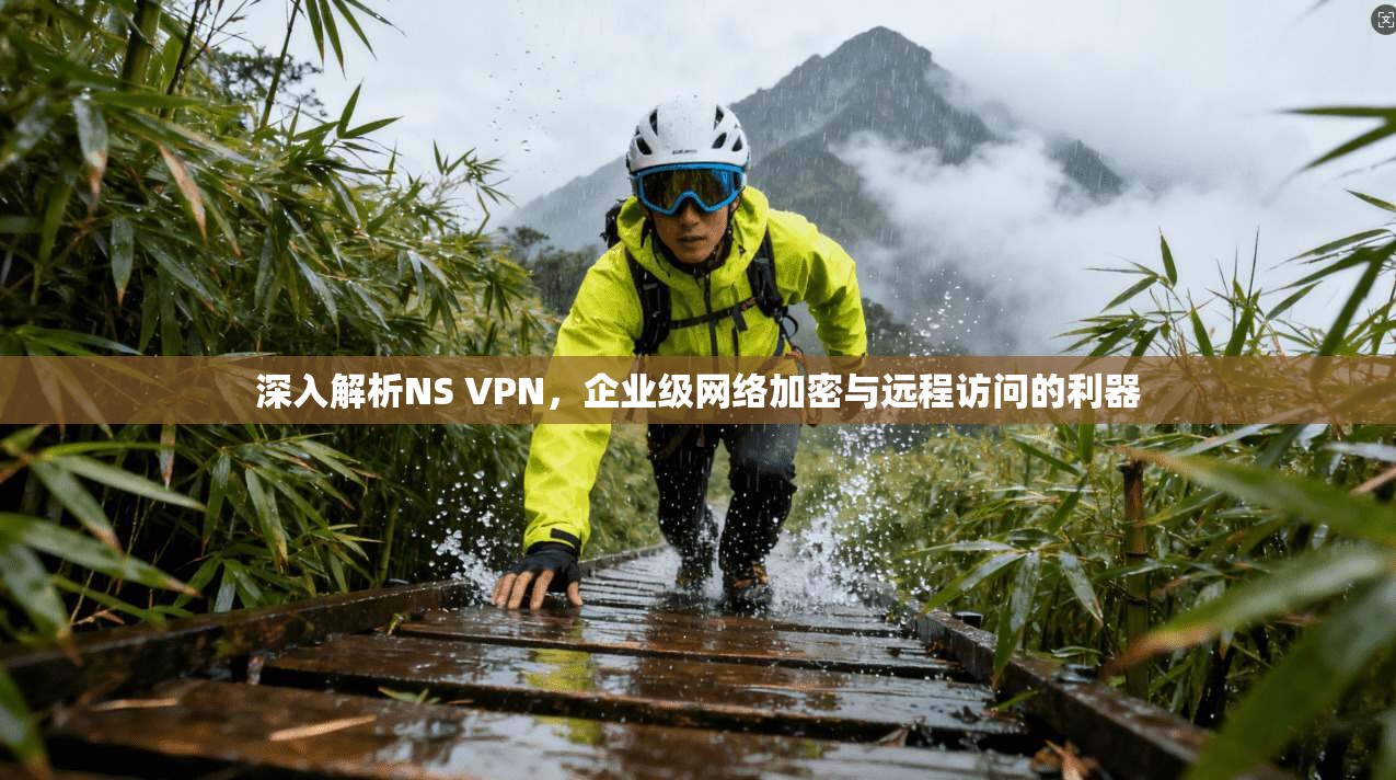 深入解析NS VPN，企业级网络加密与远程访问的利器