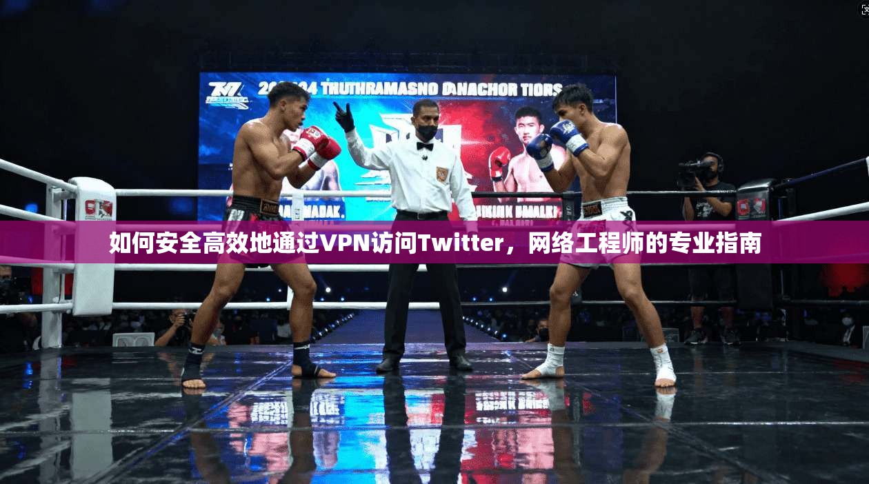 如何安全高效地通过VPN访问Twitter，网络工程师的专业指南
