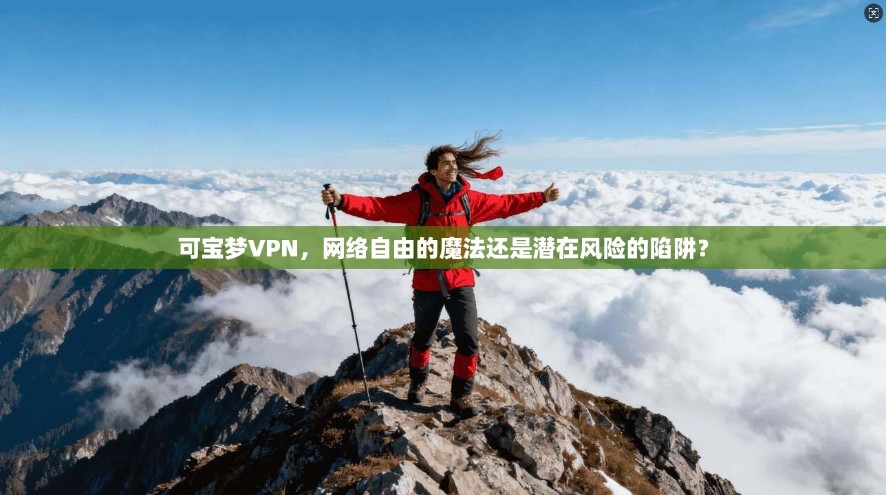 可宝梦VPN，网络自由的魔法还是潜在风险的陷阱？