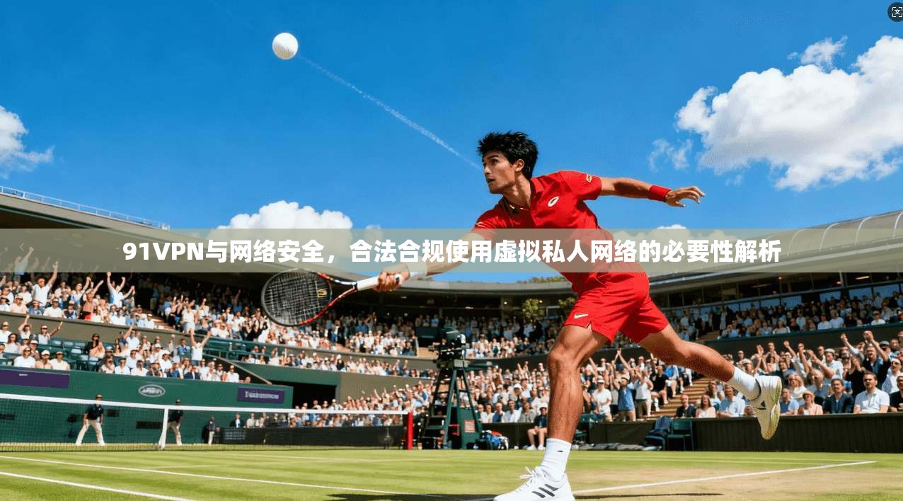 91VPN与网络安全，合法合规使用虚拟私人网络的必要性解析