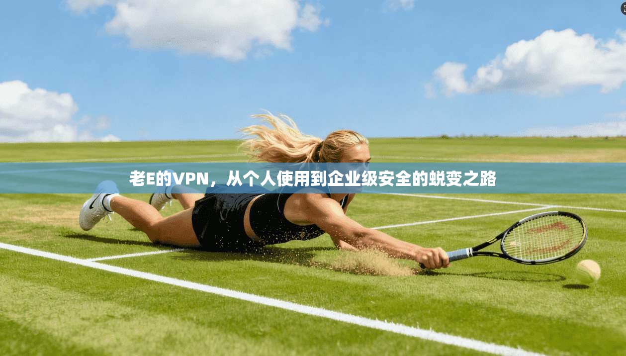 老E的VPN，从个人使用到企业级安全的蜕变之路
