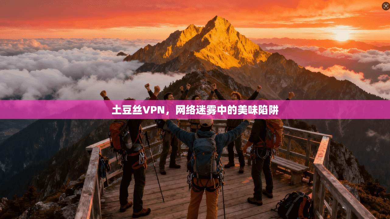 土豆丝VPN，网络迷雾中的美味陷阱