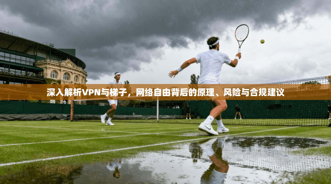 深入解析VPN与梯子，网络自由背后的原理、风险与合规建议
