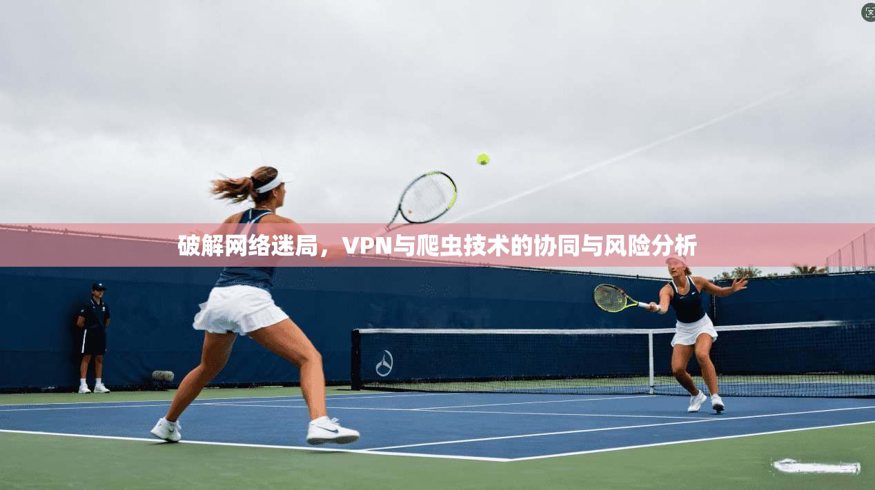 破解网络迷局，VPN与爬虫技术的协同与风险分析