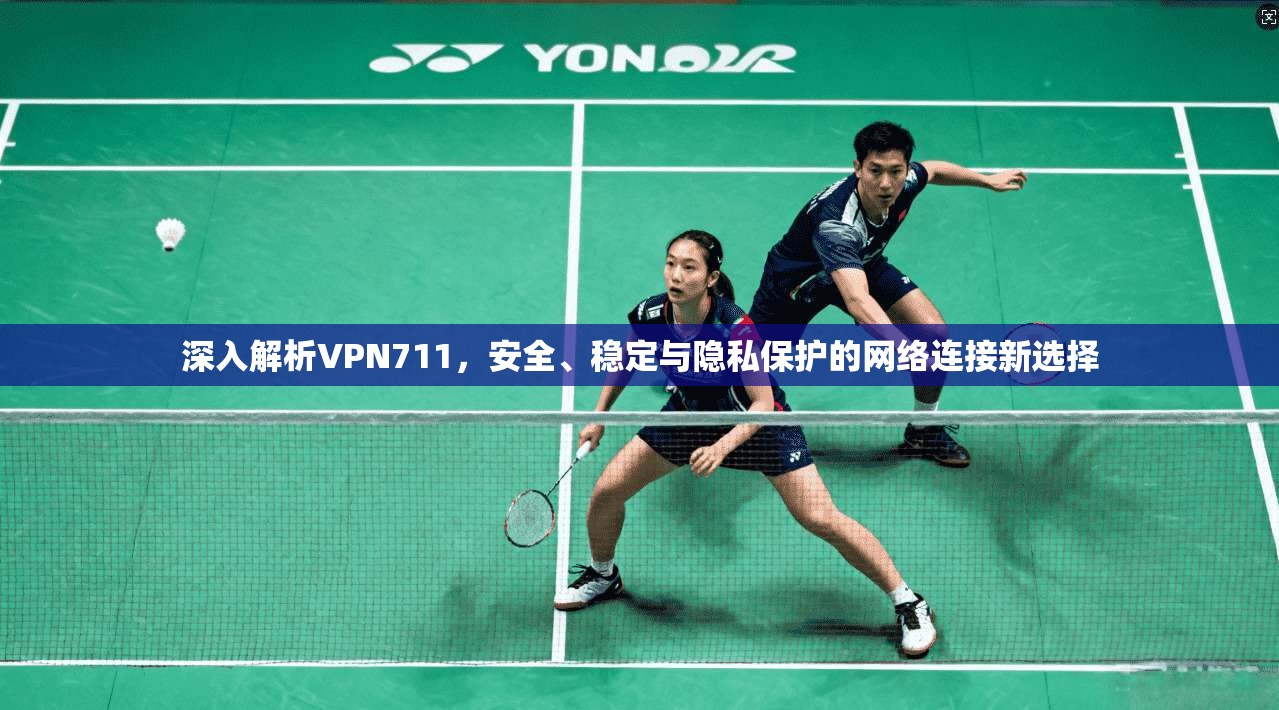 深入解析VPN711，安全、稳定与隐私保护的网络连接新选择