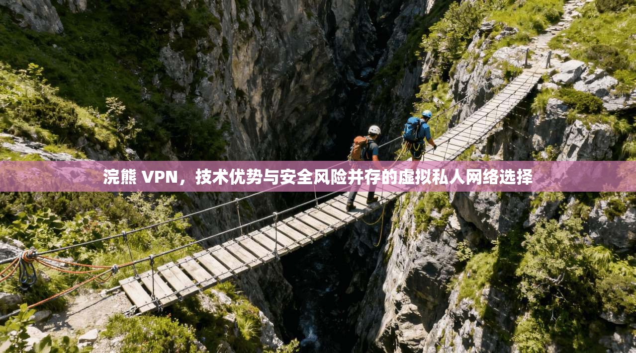 浣熊 VPN，技术优势与安全风险并存的虚拟私人网络选择