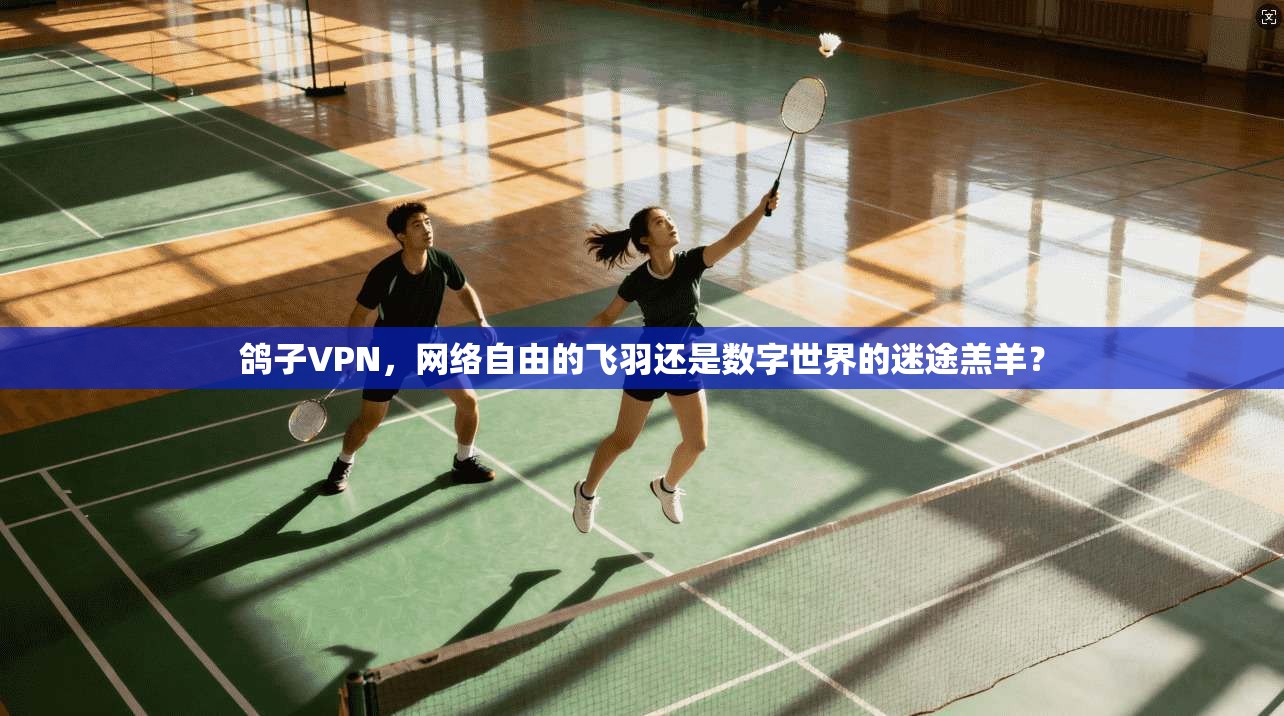 鸽子VPN，网络自由的飞羽还是数字世界的迷途羔羊？