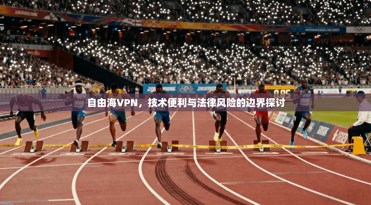 自由海VPN，技术便利与法律风险的边界探讨