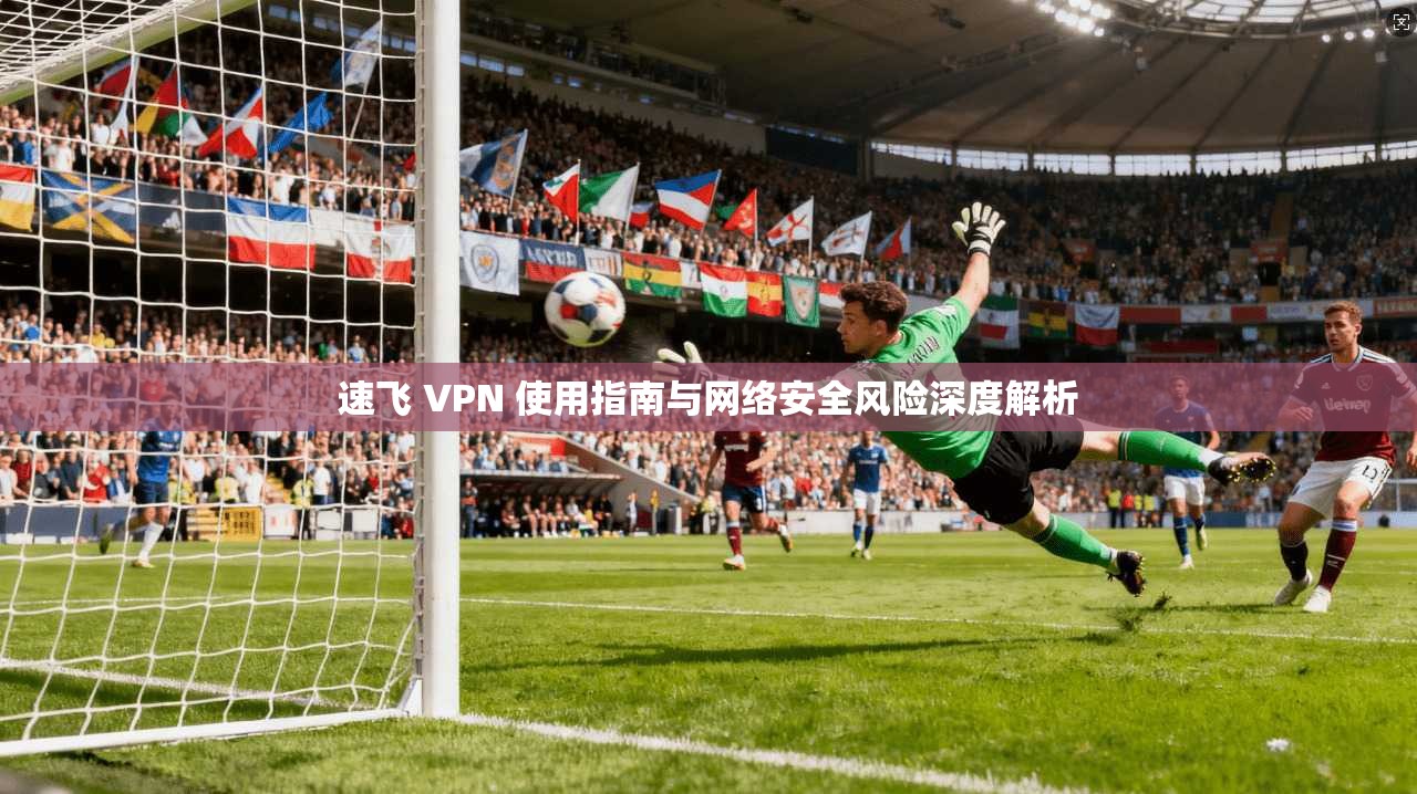 速飞 VPN 使用指南与网络安全风险深度解析