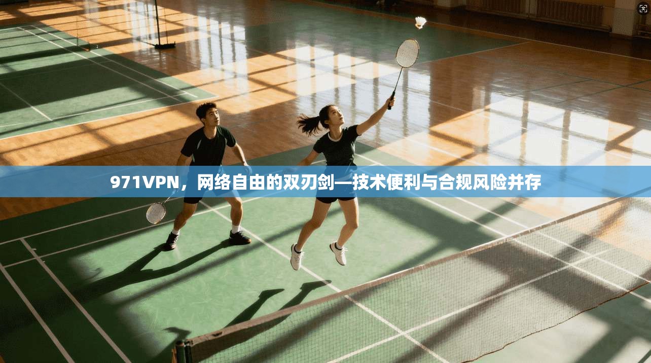 971VPN，网络自由的双刃剑—技术便利与合规风险并存