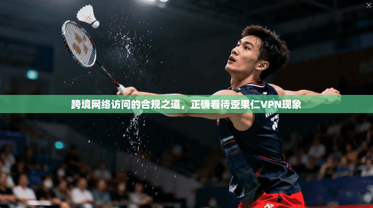 跨境网络访问的合规之道，正确看待歪果仁VPN现象