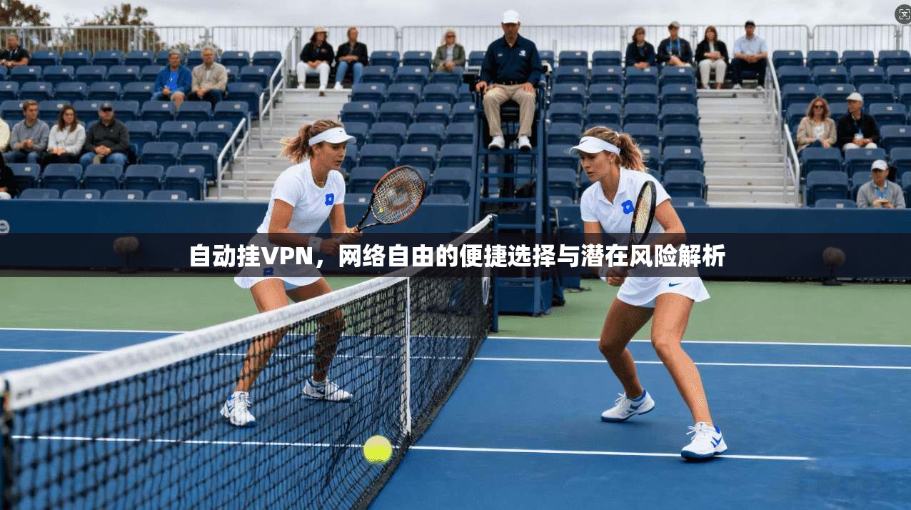 自动挂VPN，网络自由的便捷选择与潜在风险解析
