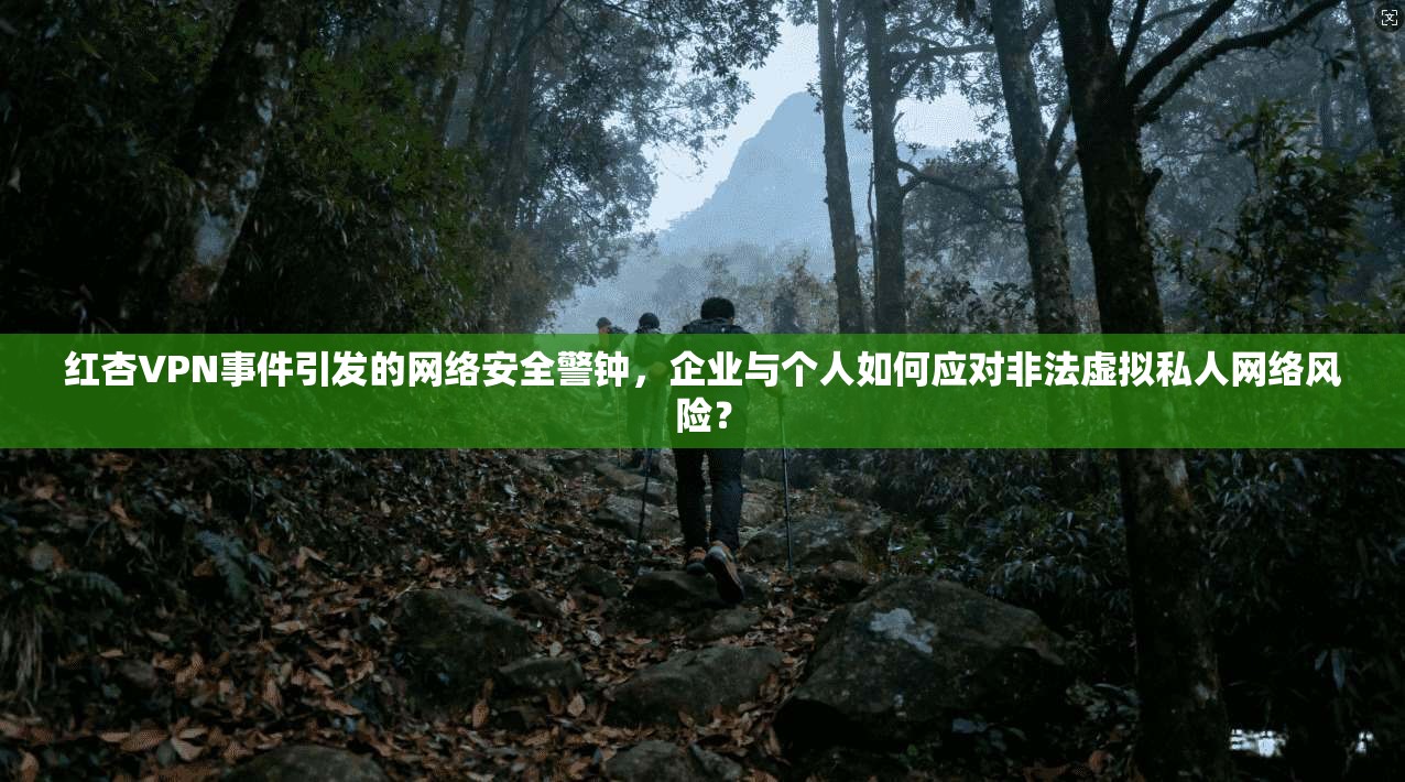 红杏VPN事件引发的网络安全警钟，企业与个人如何应对非法虚拟私人网络风险？
