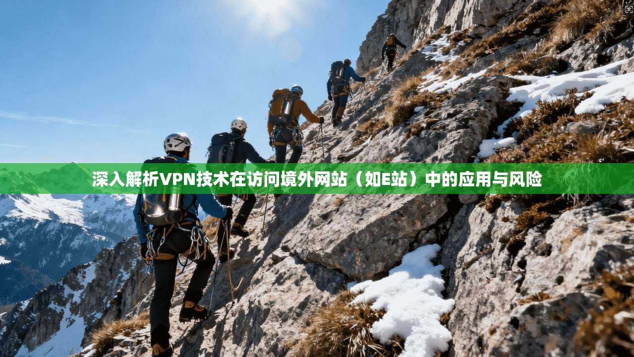 深入解析VPN技术在访问境外网站（如E站）中的应用与风险