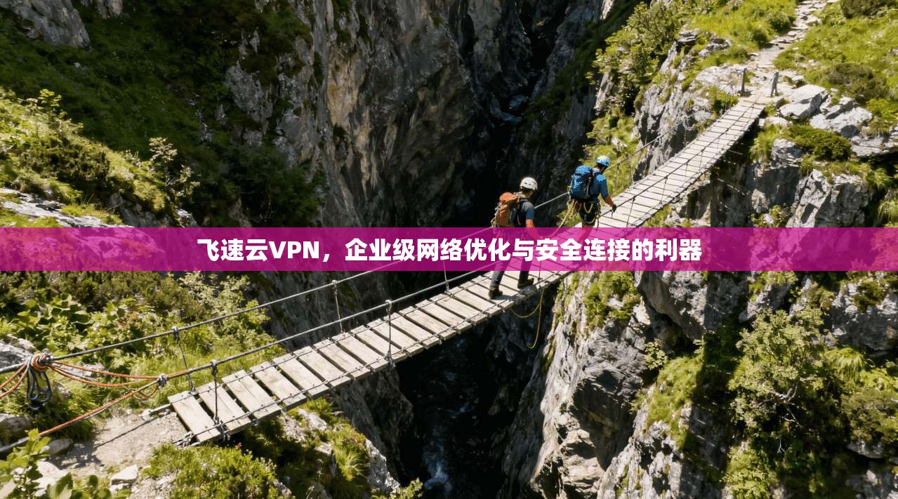飞速云VPN，企业级网络优化与安全连接的利器