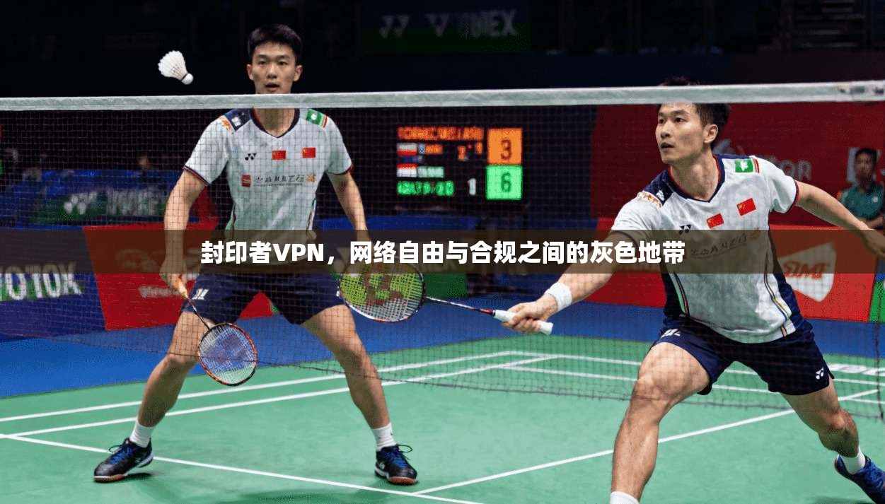 封印者VPN，网络自由与合规之间的灰色地带