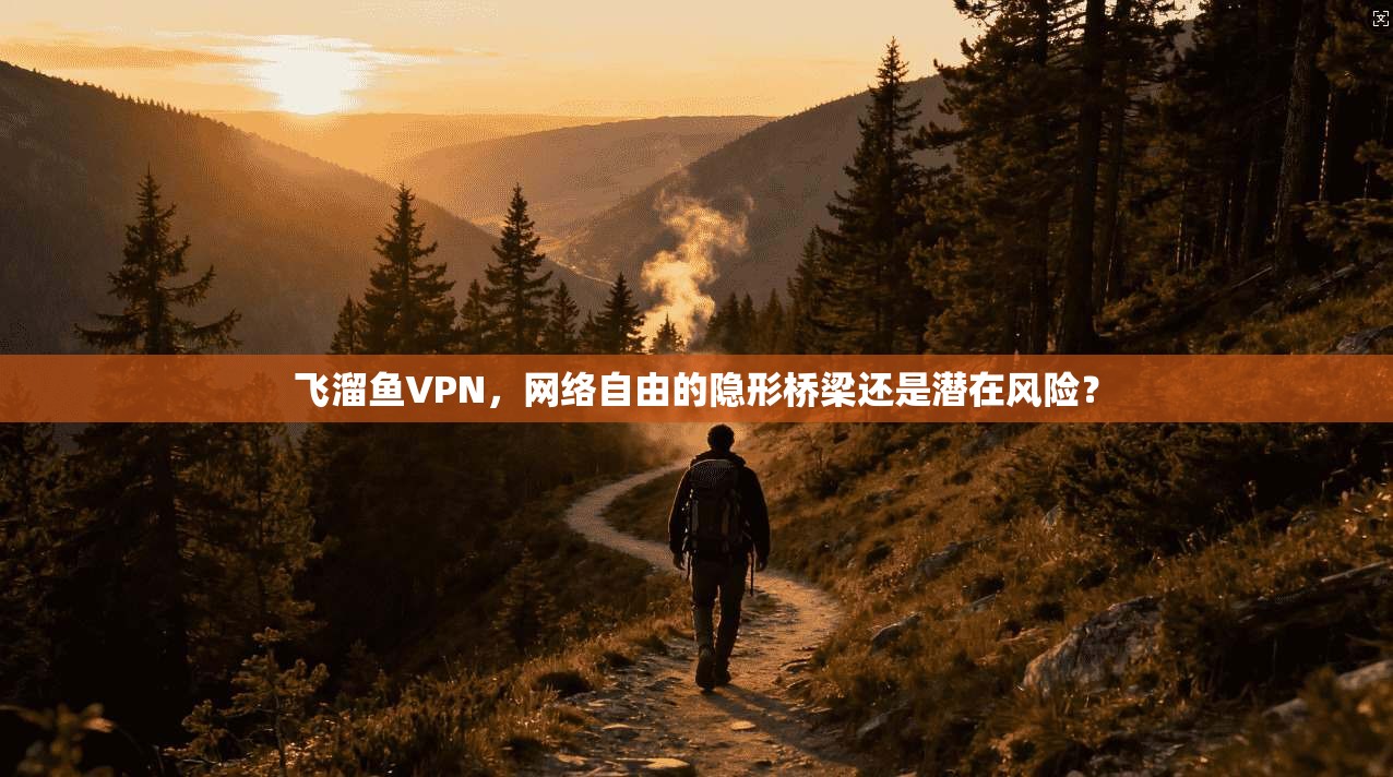 飞溜鱼VPN，网络自由的隐形桥梁还是潜在风险？