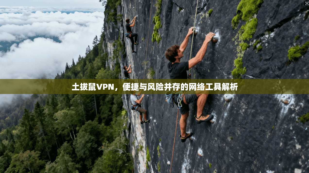 土拔鼠VPN，便捷与风险并存的网络工具解析
