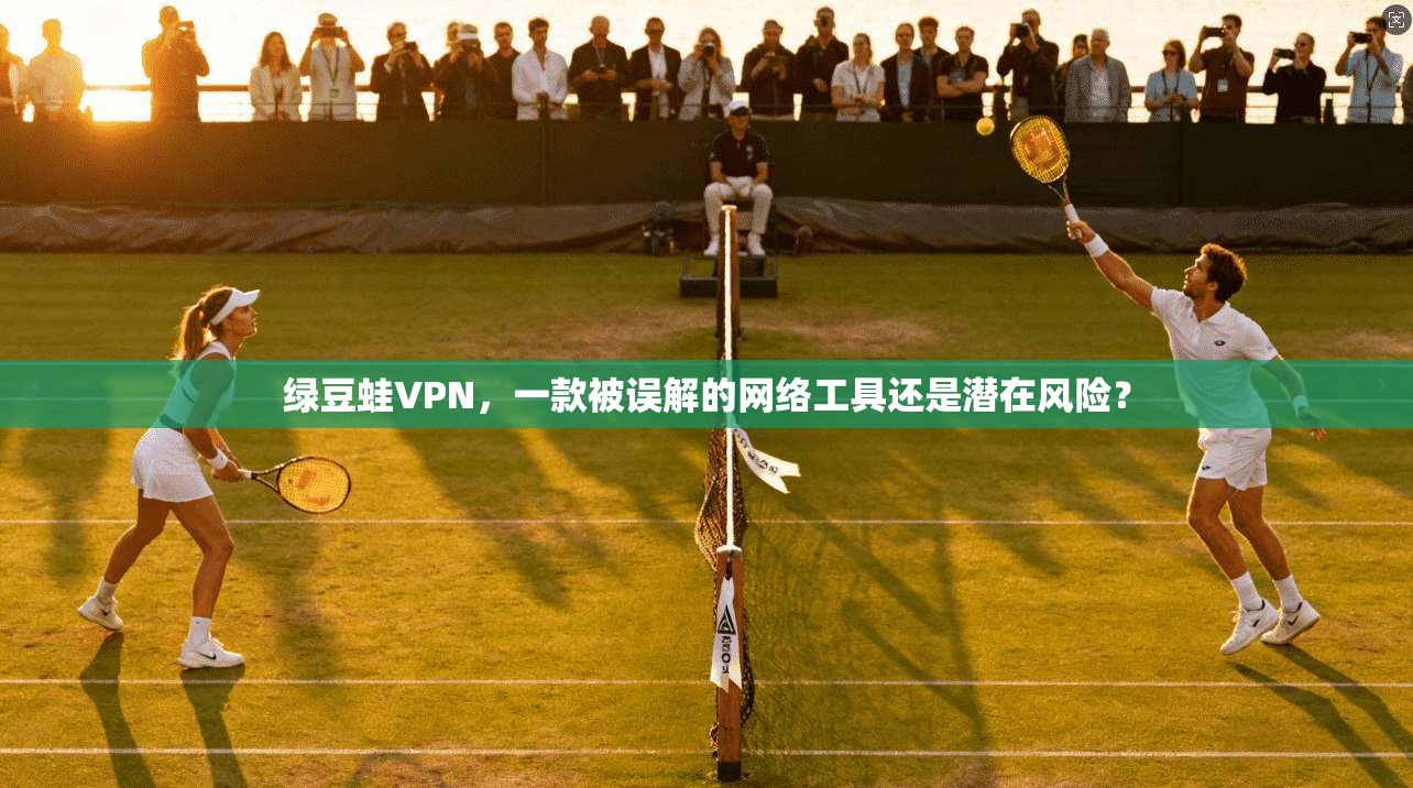 绿豆蛙VPN，一款被误解的网络工具还是潜在风险？