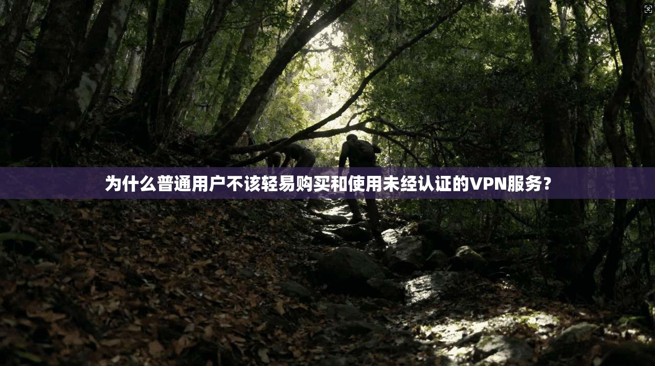 为什么普通用户不该轻易购买和使用未经认证的VPN服务？